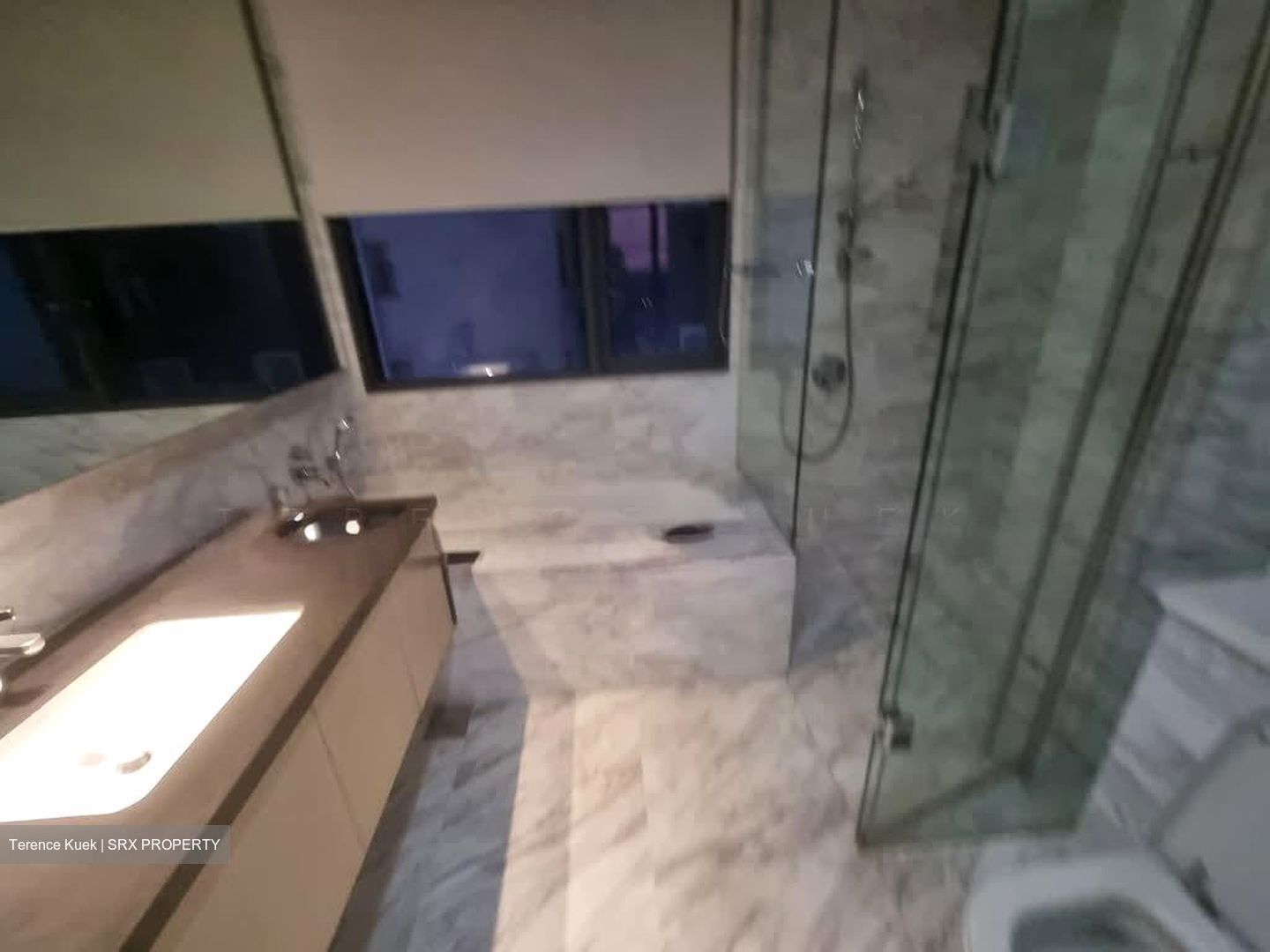 The Arte (D12), Condominium #572180401